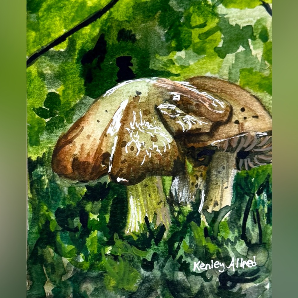 Original Art Mushroom Watercolor Painting On Paper Size 4”x6” - Picture 3 of 3